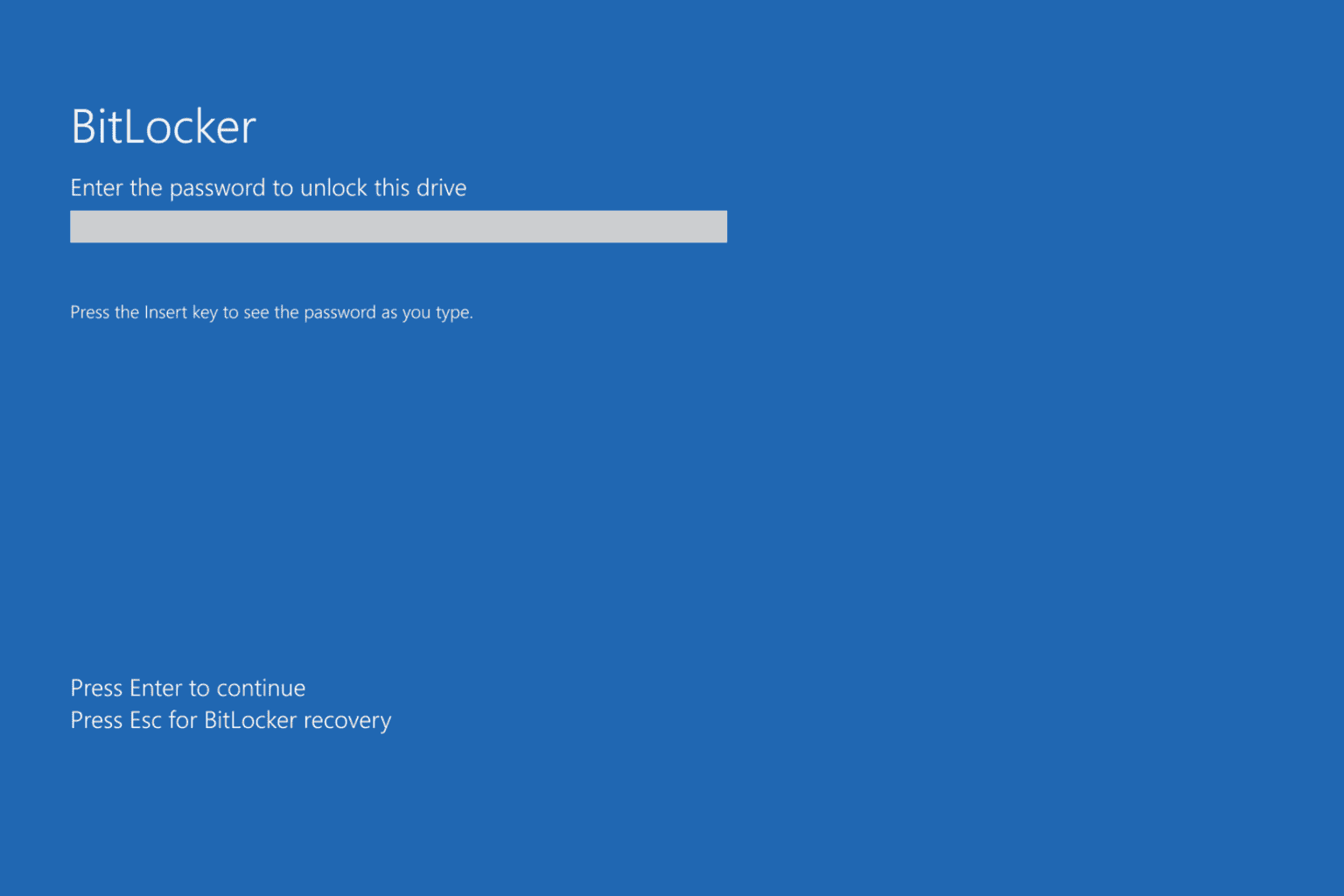 Windows 10 BitLocker issue